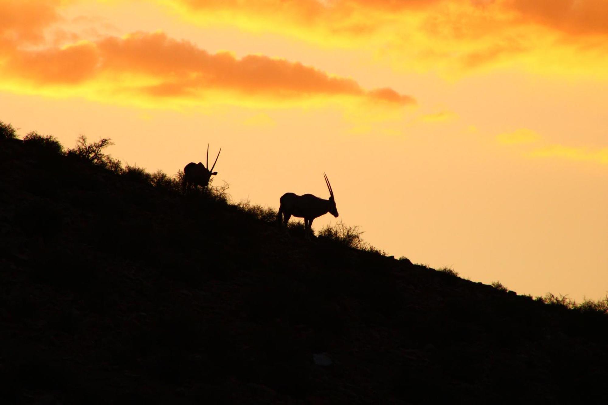Bosch Luys Kloof Nature Reserve 라디스미스 외부 사진