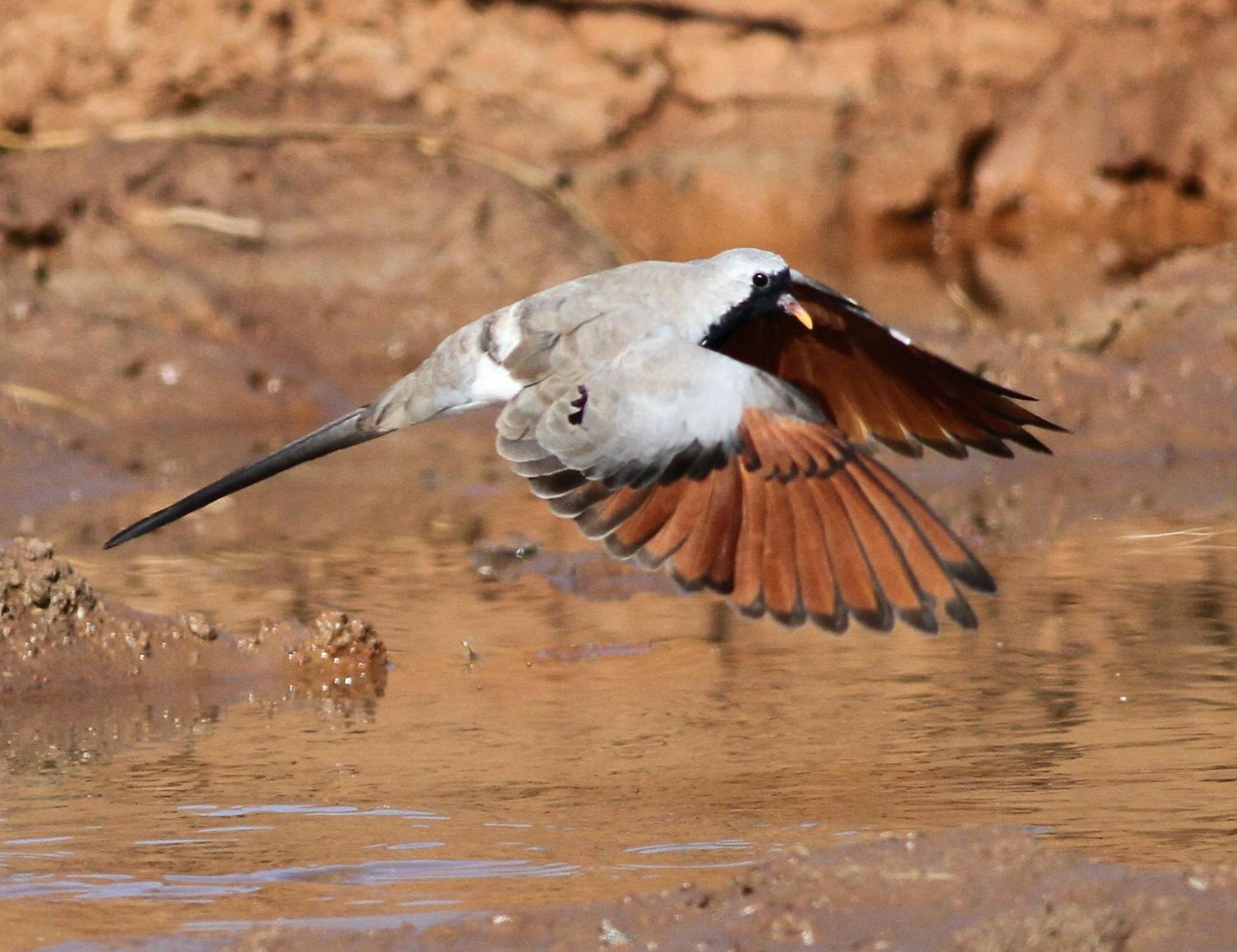 Bosch Luys Kloof Nature Reserve 라디스미스 외부 사진