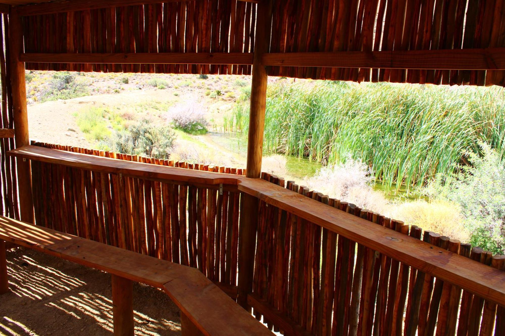 Bosch Luys Kloof Nature Reserve 라디스미스 외부 사진