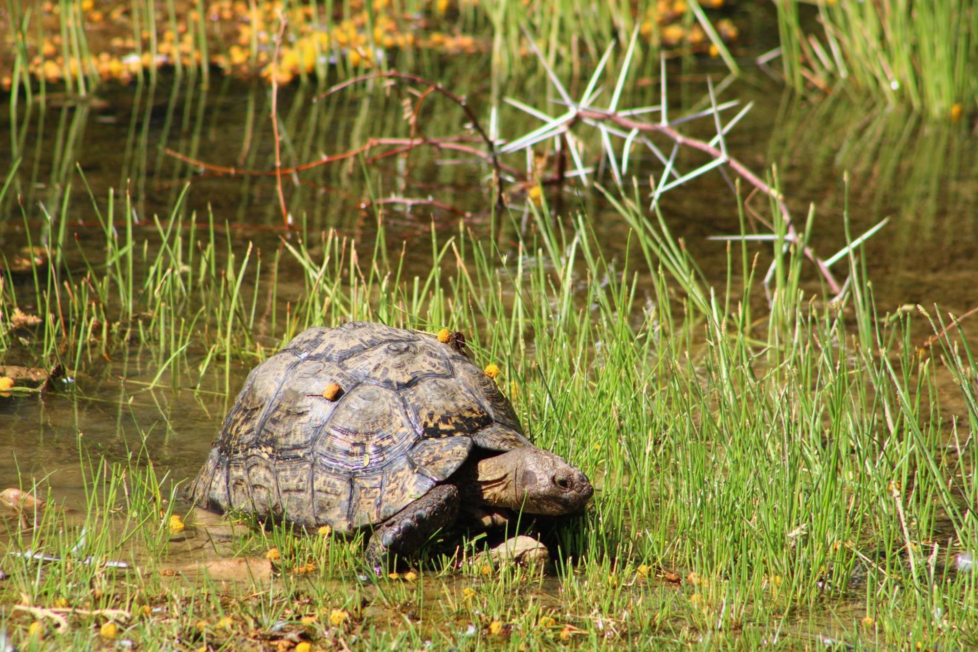 Bosch Luys Kloof Nature Reserve 라디스미스 외부 사진