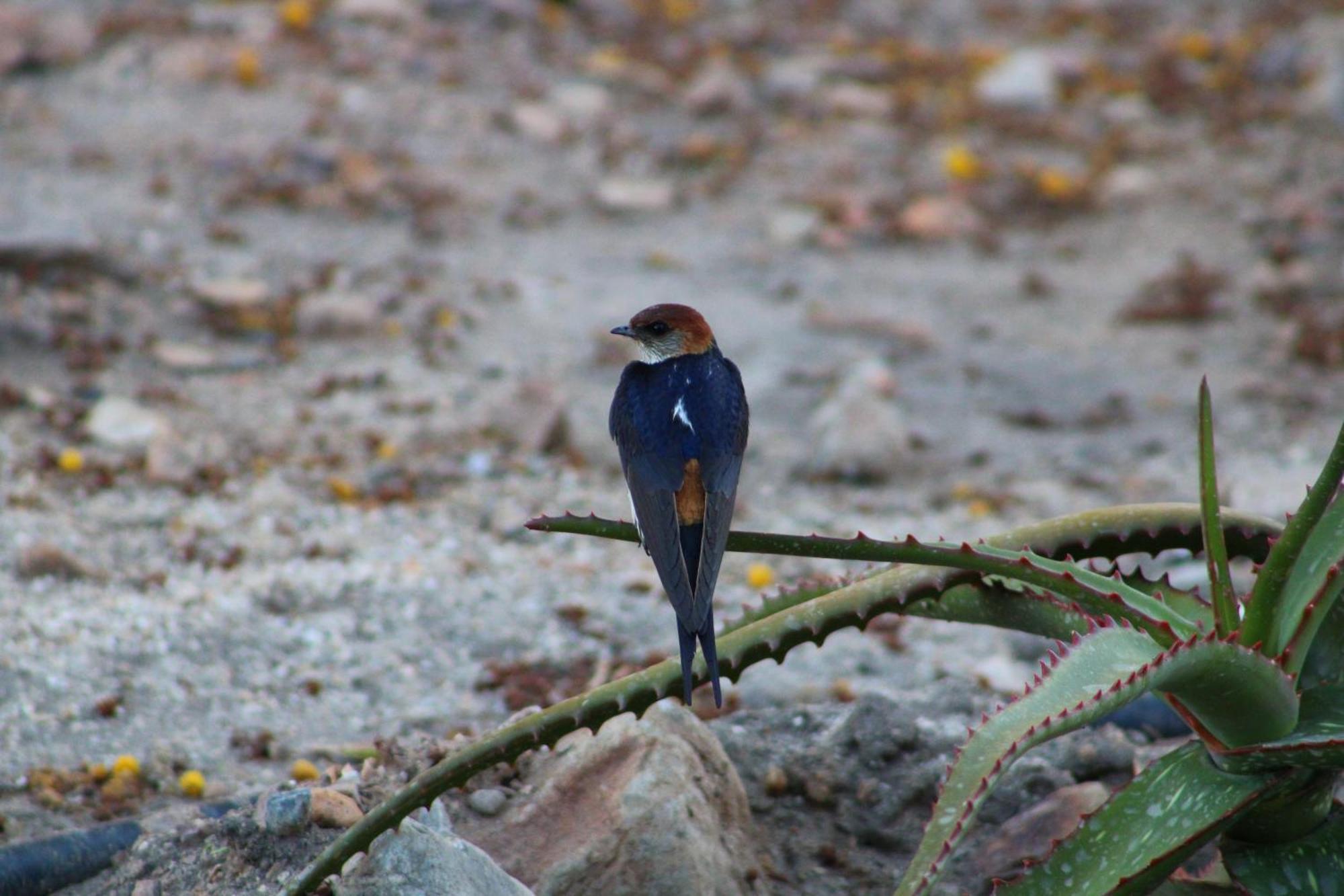 Bosch Luys Kloof Nature Reserve 라디스미스 외부 사진