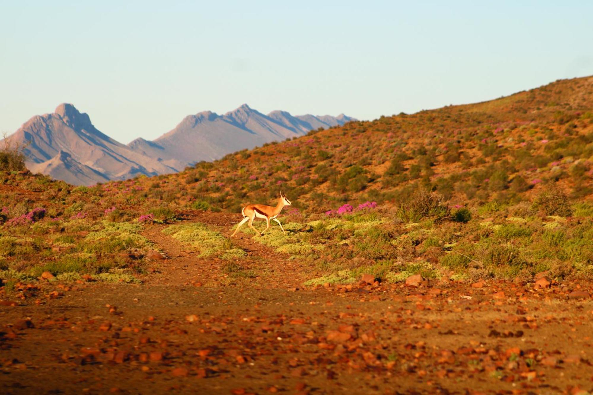 Bosch Luys Kloof Nature Reserve 라디스미스 외부 사진
